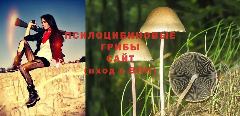 Галлюциногенные грибы Cubensis  как найти закладки  Жуковский 